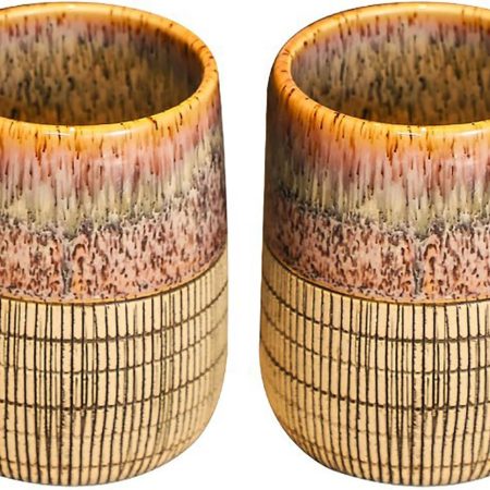 2 Pcs Vintage Stoneware Style Ceramic Mouthwash Cups, Bathroom Brushing Cup, Bathroom Tumblers, 12 Oz